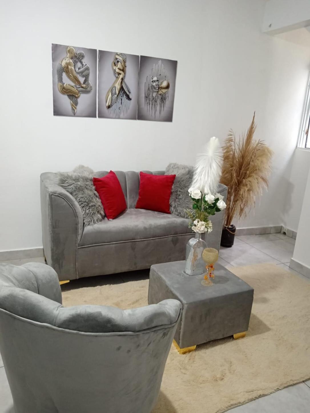 Apartamentos De 1 2 Y 3 Habitaciones Santiago De Los Caballeros Εξωτερικό φωτογραφία